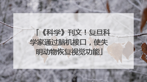 《科学》刊文！复旦科学家通过脑机接口，使失明动物恢复视觉功能