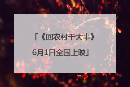《回农村干大事》6月1日全国上映