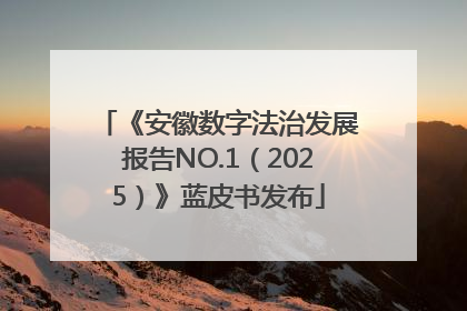 《安徽数字法治发展报告NO.1（2025）》蓝皮书发布