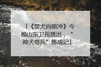 《警犬向前冲》今晚山东卫视播出，“神犬奇兵”炼成记