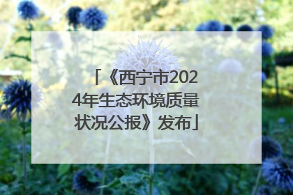 《西宁市2024年生态环境质量状况公报》发布