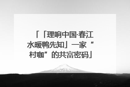 「理响中国·春江水暖鸭先知」一家“村咖”的共富密码