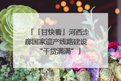 「甘快看」河西走廊国家遗产线路建设“干货满满”