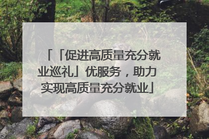 「促进高质量充分就业巡礼」优服务，助力实现高质量充分就业