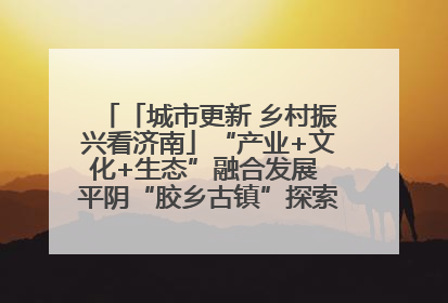 「城市更新 乡村振兴看济南」“产业+文化+生态”融合发展 平阴“胶乡古镇”探索振兴路径成效显著