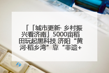 「城市更新· 乡村振兴看济南」5000亩稻田玩起黑科技 济阳“黄河·稻乡湾”靠“非遗+露营”火出圈