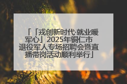 「戎创新时代·就业暖军心」2025年铜仁市退役军人专场招聘会暨直播带岗活动顺利举行