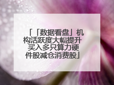 「数据看盘」机构活跃度大幅提升 买入多只算力硬件股减仓消费股