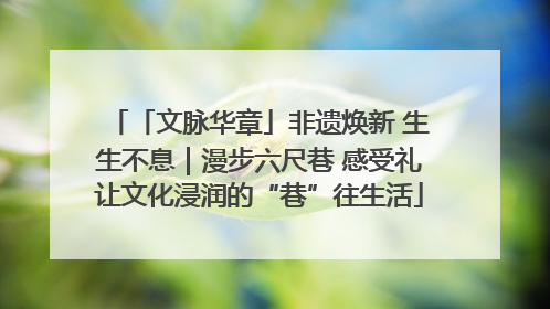「文脉华章」非遗焕新 生生不息｜漫步六尺巷 感受礼让文化浸润的“巷”往生活