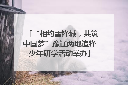 “相约雷锋城，共筑中国梦”豫辽两地追锋少年研学活动举办