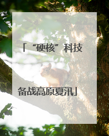 “硬核”科技备战高原夏汛