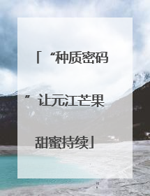“种质密码”让元江芒果甜蜜持续