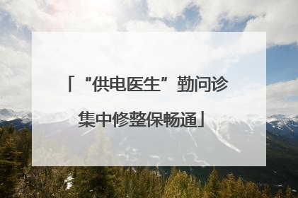 “供电医生”勤问诊 集中修整保畅通
