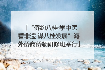 “侨约八桂·学中医 看非遗 谋八桂发展”海外侨商侨领研修班举行