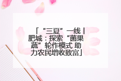 “三夏”一线丨肥城：探索“菌果蔬”轮作模式 助力农民增收致富