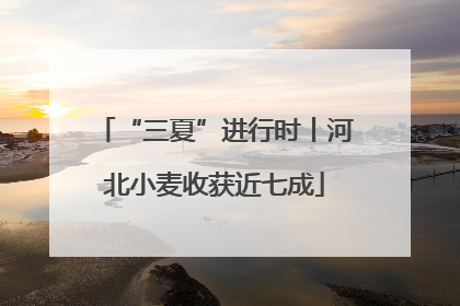 “三夏”进行时丨河北小麦收获近七成