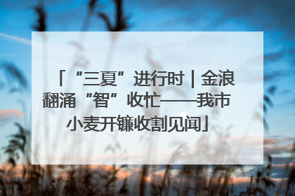 “三夏”进行时｜金浪翻涌“智”收忙——我市小麦开镰收割见闻