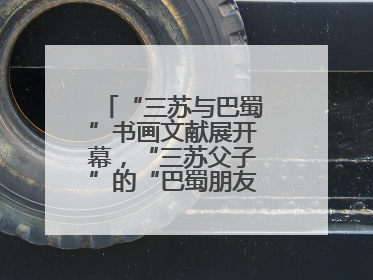 “三苏与巴蜀”书画文献展开幕，“三苏父子”的“巴蜀朋友圈”人物亮相