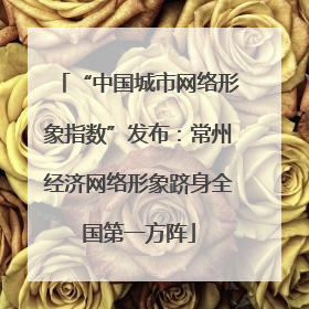 “中国城市网络形象指数”发布：常州经济网络形象跻身全国第一方阵