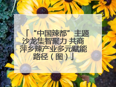 “中国辣都”主题沙龙集智聚力 共商萍乡辣产业多元赋能路径（图）
