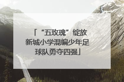 “五玫瑰”绽放 新城小学混编少年足球队勇夺四强