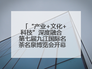 “产业+文化+科技”深度融合 第七届九江国际名茶名泉博览会开幕（组图）