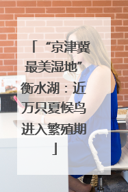 “京津冀最美湿地”衡水湖：近万只夏候鸟进入繁殖期