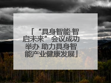 “具身智能·智启未来”会议成功举办 助力具身智能产业健康发展