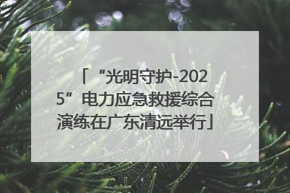 “光明守护-2025”电力应急救援综合演练在广东清远举行