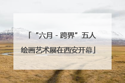 “六月 - 跨界”五人绘画艺术展在西安开幕