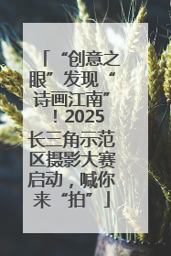 “创意之眼”发现“诗画江南”！2025长三角示范区摄影大赛启动，喊你来“拍”