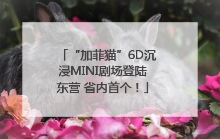 “加菲猫”6D沉浸MINI剧场登陆东营 省内首个！