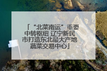 “北菜南运”重要中转枢纽 辽宁新民市打造东北最大产地蔬菜交易中心