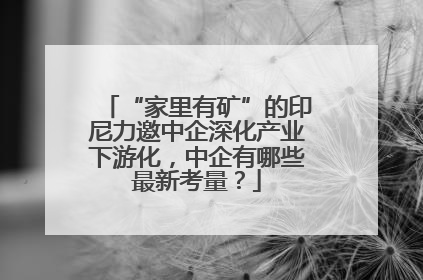 “家里有矿”的印尼力邀中企深化产业下游化，中企有哪些最新考量？