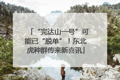 “完达山一号”可能已“脱单”！东北虎种群传来新喜讯