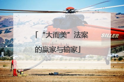 “大而美”法案的赢家与输家