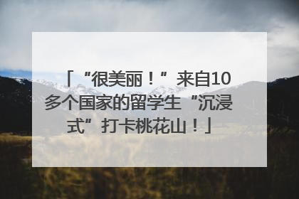 “很美丽！”来自10多个国家的留学生“沉浸式”打卡桃花山！