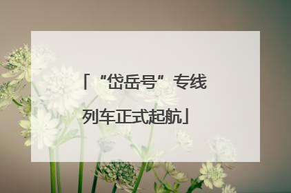 “岱岳号”专线列车正式起航