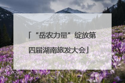 “岳农力量”绽放第四届湖南旅发大会