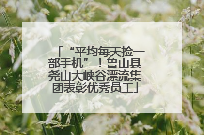 “平均每天捡一部手机”！鲁山县尧山大峡谷漂流集团表彰优秀员工