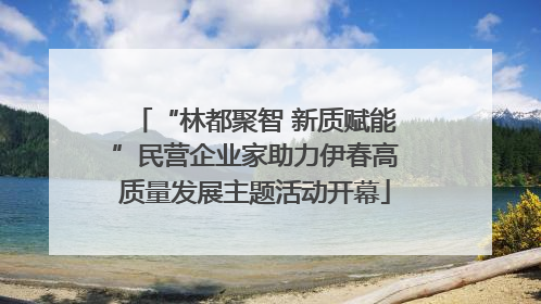 “林都聚智 新质赋能”民营企业家助力伊春高质量发展主题活动开幕