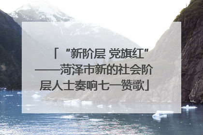 “新阶层 党旗红”——菏泽市新的社会阶层人士奏响七一赞歌