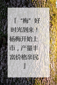 “梅”好时光到来！杨梅开始上市，产量丰富价格亲民