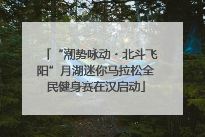 “潮势咏动・北斗飞阳”月湖迷你马拉松全民健身赛在汉启动