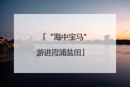“海中宝马”游进霞浦盐田