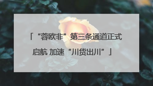 “蓉欧非”第三条通道正式启航 加速“川货出川”