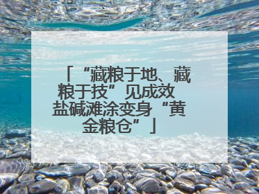 “藏粮于地、藏粮于技”见成效 盐碱滩涂变身“黄金粮仓”