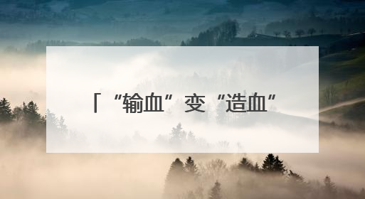 “输血”变“造血”共赢 粤桂协作助百色芒果畅销大湾区