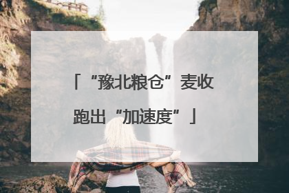 “豫北粮仓”麦收跑出“加速度”