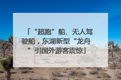 “超跑”船、无人驾驶船，东湖新型“龙舟”引国外游客震惊